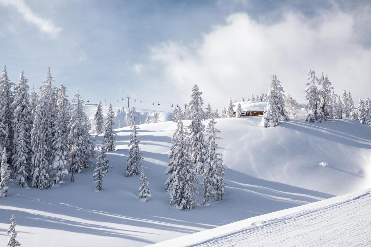Apartments Niederseer Saalbach Exterior foto